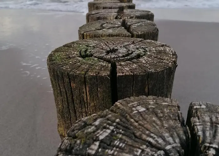 Ostseeparadies Meerblick Graal-Mueritz